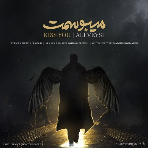 علی ویسی میبوسمت
